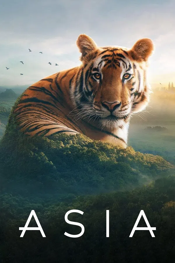 Poster phim Asia trên PhimMoi