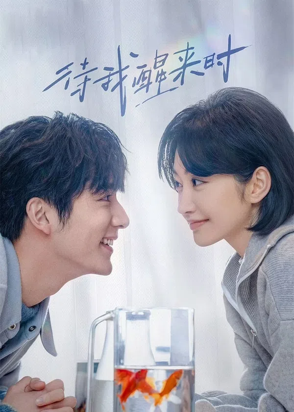 Poster phim Đợi Khi Tôi Tỉnh Lại trên PhimMoi