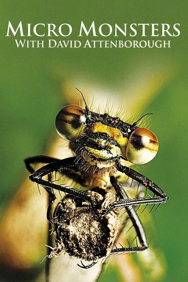 Poster phim Những Quái Vật Tý Hon trên PhimMoi